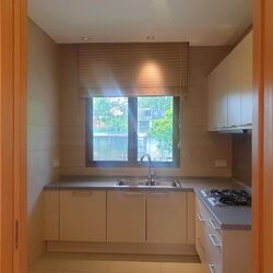 Bishopsgate Residences (D10), Condominium #467671611